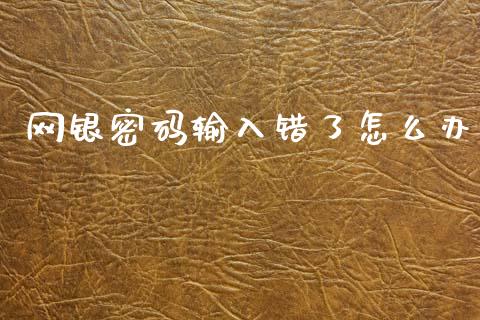 网银密码输入错了怎么办_https://m.fansifence.com_消费金融_第1张