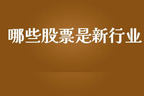哪些股票是新行业_https://m.fansifence.com_个股行情_第1张