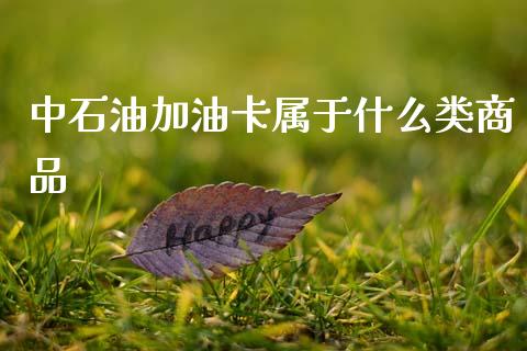 中石油加油卡属于什么类商品_https://m.fansifence.com_消费金融_第1张