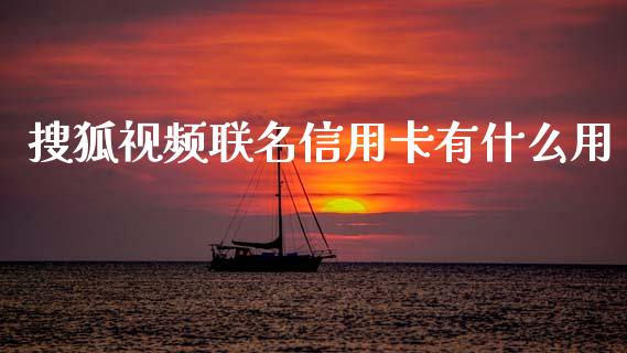 搜狐视频联名信用卡有什么用_https://m.fansifence.com_公募基金_第1张