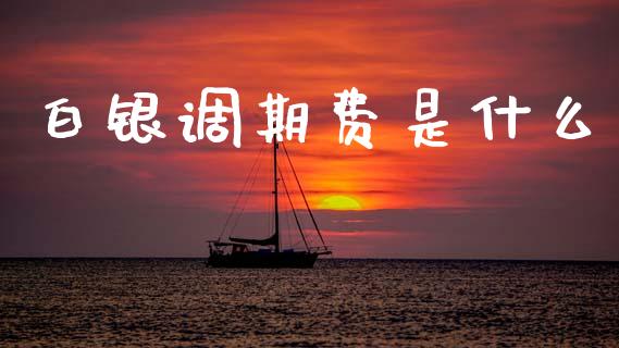 白银调期费是什么_https://m.fansifence.com_个股行情_第1张