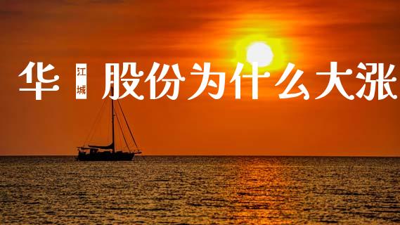 华鑫股份为什么大涨_https://m.fansifence.com_公募基金_第1张