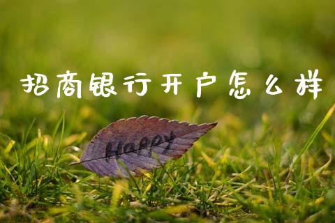 招商银行开户怎么样_https://m.fansifence.com_公募基金_第1张