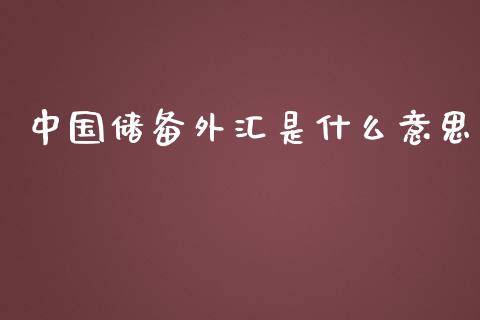 中国储备外汇是什么意思_https://m.fansifence.com_个股行情_第1张