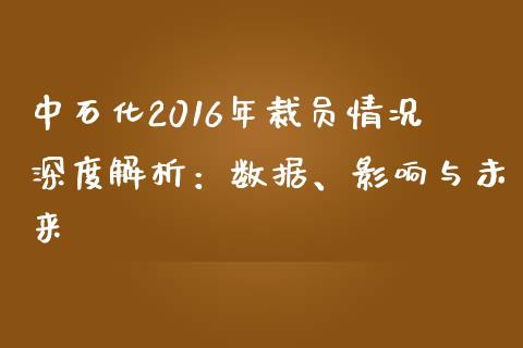中石化2016年裁员情况深度解析：数据、影响与未来_https://m.fansifence.com_贵金属行情_第1张