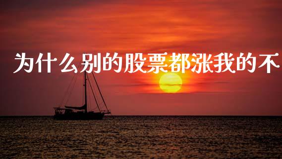 为什么别的股票都涨我的不_https://m.fansifence.com_个股行情_第1张
