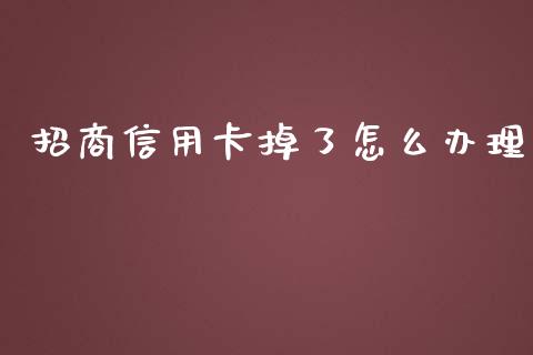 招商信用卡掉了怎么办理_https://m.fansifence.com_公募基金_第1张
