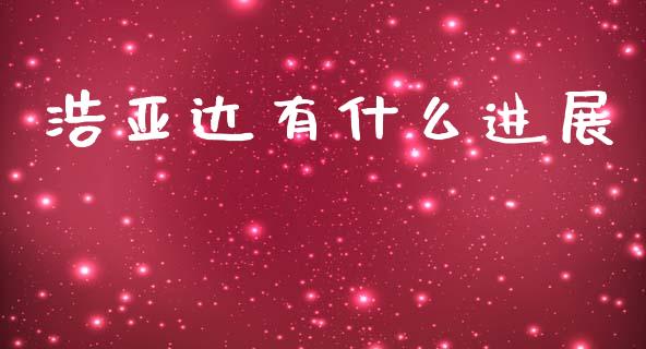 浩亚达有什么进展_https://m.fansifence.com_消费金融_第1张