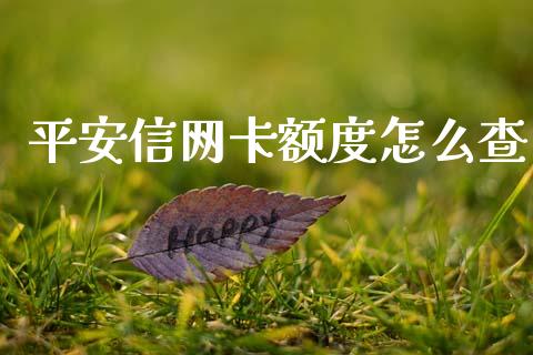 平安信网卡额度怎么查_https://m.fansifence.com_消费金融_第1张