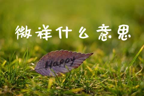 微祥什么意思_https://m.fansifence.com_公募基金_第1张