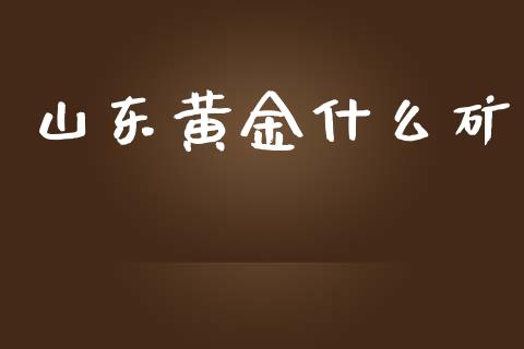 山东黄金什么矿_https://m.fansifence.com_公募基金_第1张