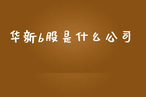 华新b股是什么公司_https://m.fansifence.com_个股行情_第1张