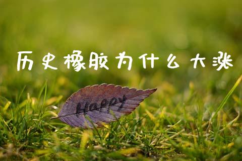 历史橡胶为什么大涨_https://m.fansifence.com_贵金属行情_第1张