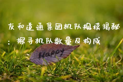 友和道通集团机队规模揭秘：探寻机队数量及构成_https://m.fansifence.com_消费金融_第1张