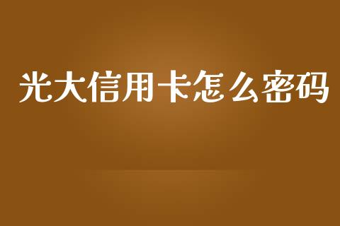 光大信用卡怎么密码_https://m.fansifence.com_公募基金_第1张