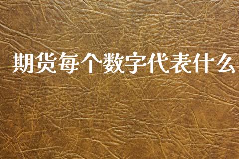 期货每个数字代表什么_https://m.fansifence.com_贵金属行情_第1张