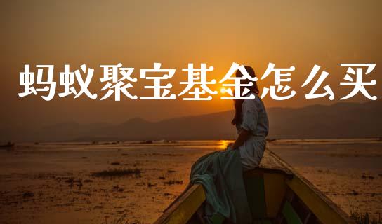 蚂蚁聚宝基金怎么买_https://m.fansifence.com_公募基金_第1张