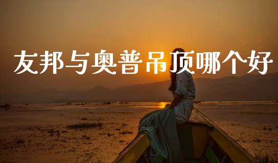 友邦与奥普吊顶哪个好_https://m.fansifence.com_消费金融_第1张