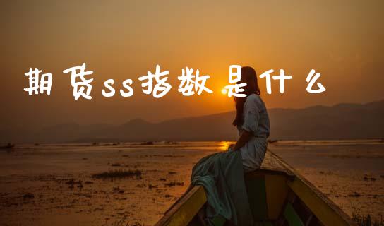 期货ss指数是什么_https://m.fansifence.com_公募基金_第1张
