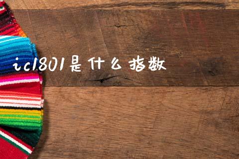 ic1801是什么指数_https://m.fansifence.com_公募基金_第1张