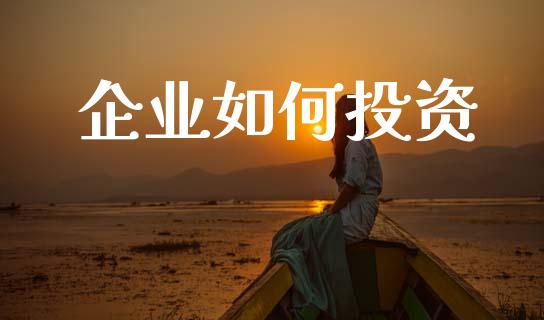 企业如何投资_https://m.fansifence.com_消费金融_第1张