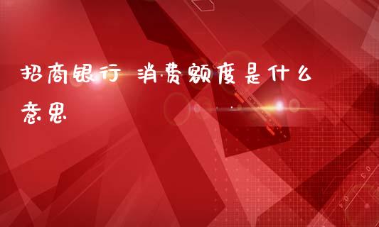 招商银行 消费额度是什么意思_https://m.fansifence.com_个股行情_第1张