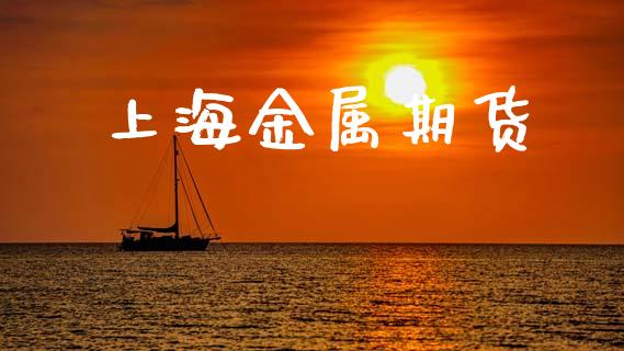 上海金属期货_https://m.fansifence.com_消费金融_第1张