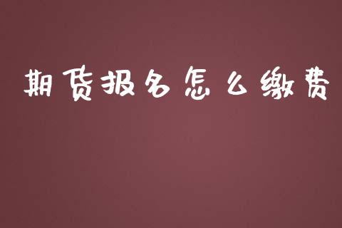 期货报名怎么缴费_https://m.fansifence.com_消费金融_第1张