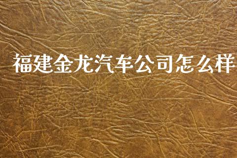 福建金龙汽车公司怎么样_https://m.fansifence.com_贵金属行情_第1张