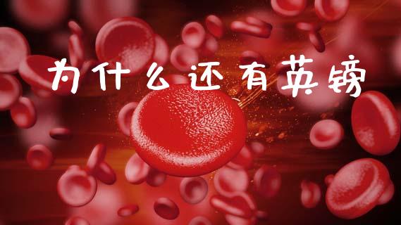 为什么还有英镑_https://m.fansifence.com_公募基金_第1张