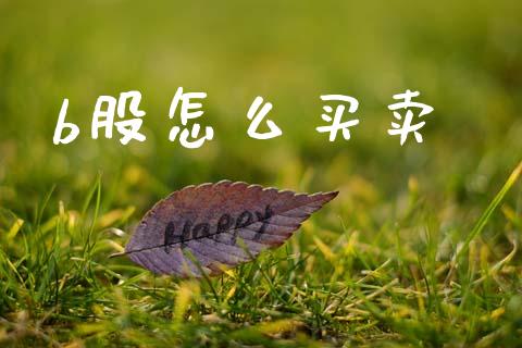 b股怎么买卖_https://m.fansifence.com_公募基金_第1张