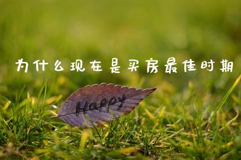 为什么现在是买房最佳时期_https://m.fansifence.com_贵金属行情_第1张