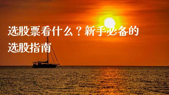 选股票看什么？新手必备的选股指南_https://m.fansifence.com_公募基金_第1张