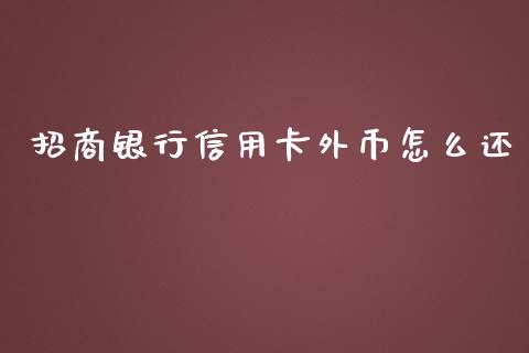招商银行信用卡外币怎么还_https://m.fansifence.com_贵金属行情_第1张