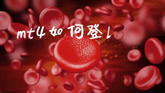 mt4如何登l_https://m.fansifence.com_消费金融_第1张