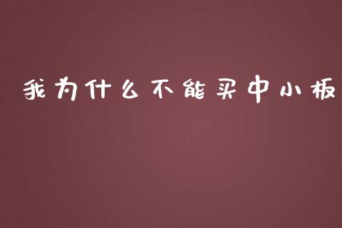我为什么不能买中小板_https://m.fansifence.com_公募基金_第1张
