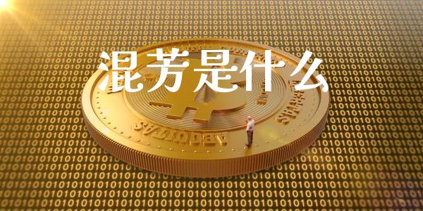 混芳是什么_https://m.fansifence.com_消费金融_第1张