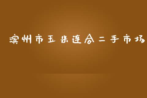 滨州市玉米连合二手市场_https://m.fansifence.com_消费金融_第1张