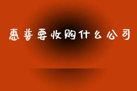 惠普要收购什么公司_https://m.fansifence.com_消费金融_第1张