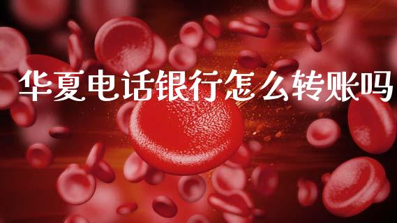 华夏电话银行怎么转账吗_https://m.fansifence.com_消费金融_第1张