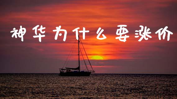 神华为什么要涨价_https://m.fansifence.com_消费金融_第1张