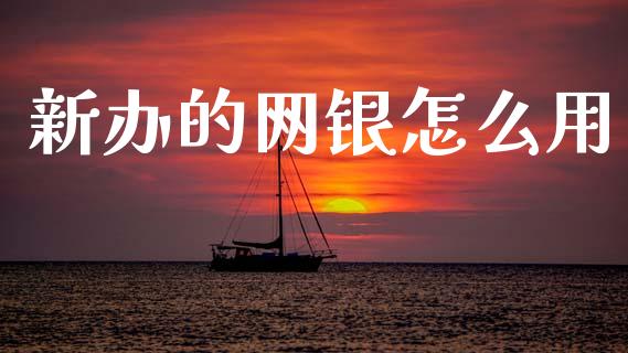 新办的网银怎么用_https://m.fansifence.com_消费金融_第1张