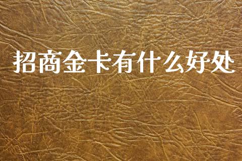 招商金卡有什么好处_https://m.fansifence.com_个股行情_第1张