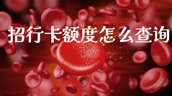 招行卡额度怎么查询_https://m.fansifence.com_公募基金_第1张
