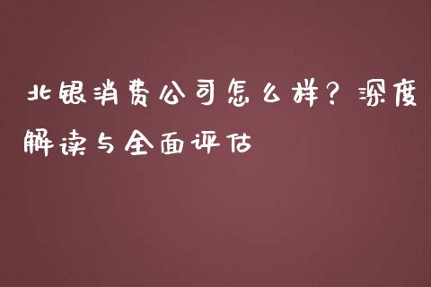 北银消费公司怎么样？深度解读与全面评估_https://m.fansifence.com_消费金融_第1张