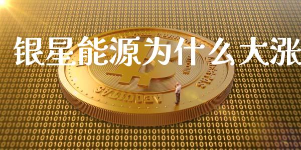 银星能源为什么大涨_https://m.fansifence.com_公募基金_第1张
