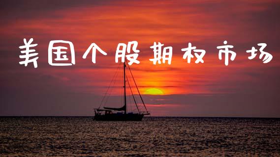 美国个股期权市场_https://m.fansifence.com_公募基金_第1张