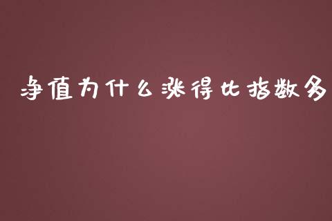 净值为什么涨得比指数多_https://m.fansifence.com_个股行情_第1张