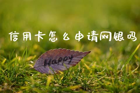 信用卡怎么申请网银吗_https://m.fansifence.com_消费金融_第1张