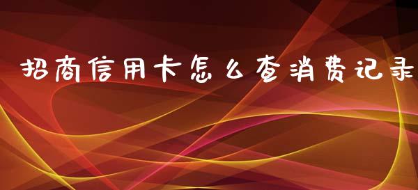 招商信用卡怎么查消费记录_https://m.fansifence.com_贵金属行情_第1张
